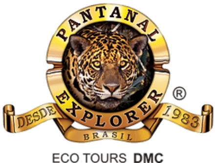Pantanal Explorer