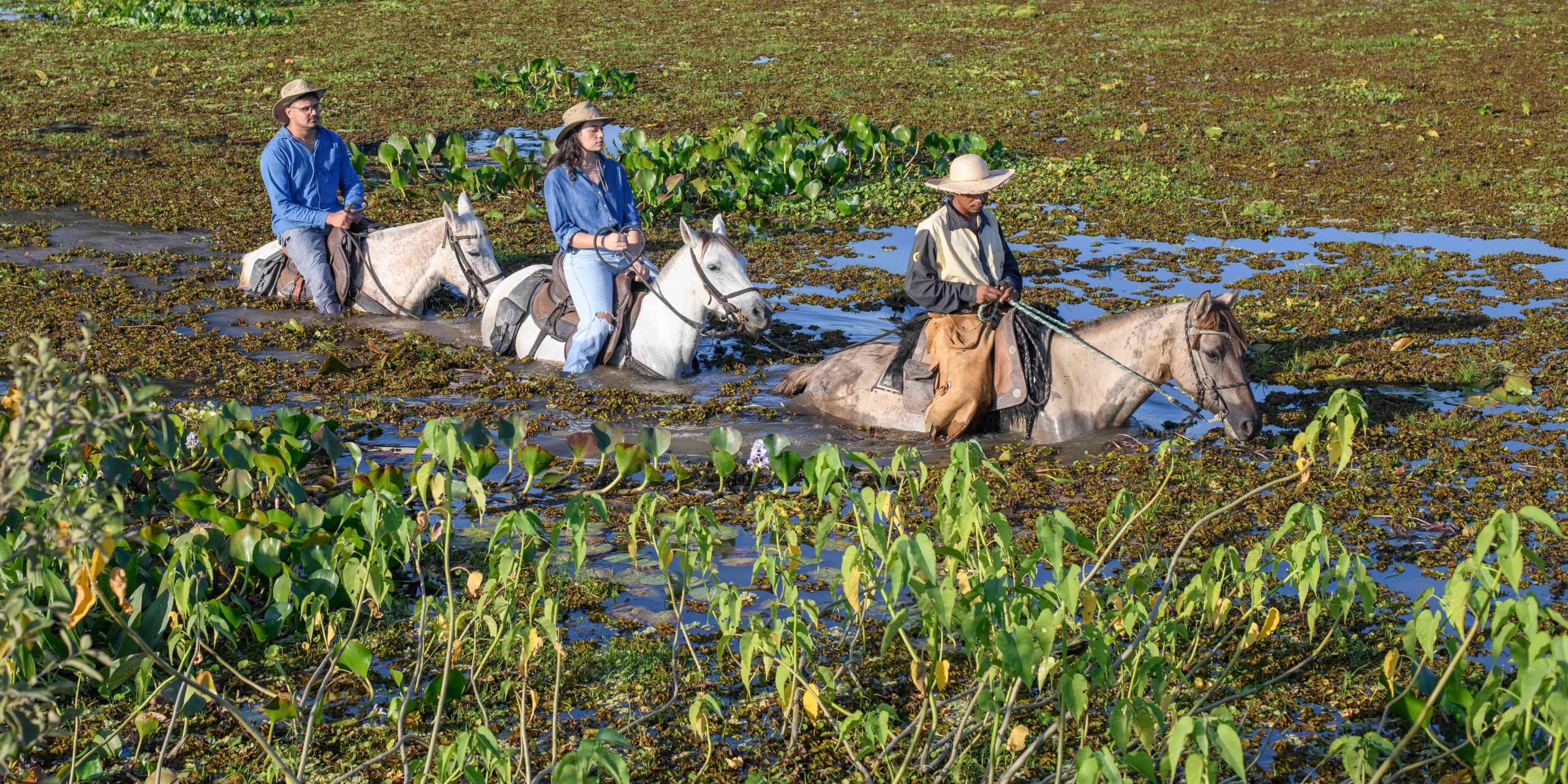 A cavalo, no Pantanal